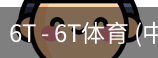 6T体育